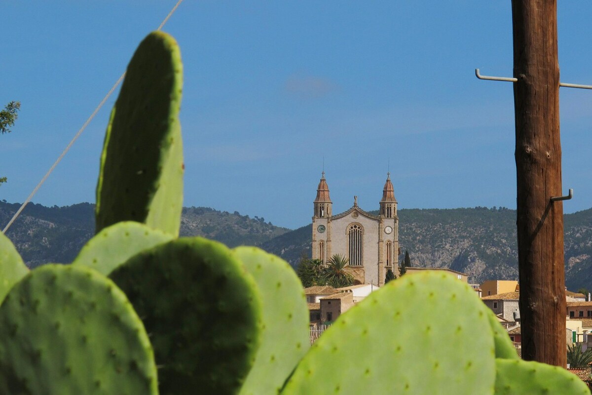 Farm House in Calvia Village