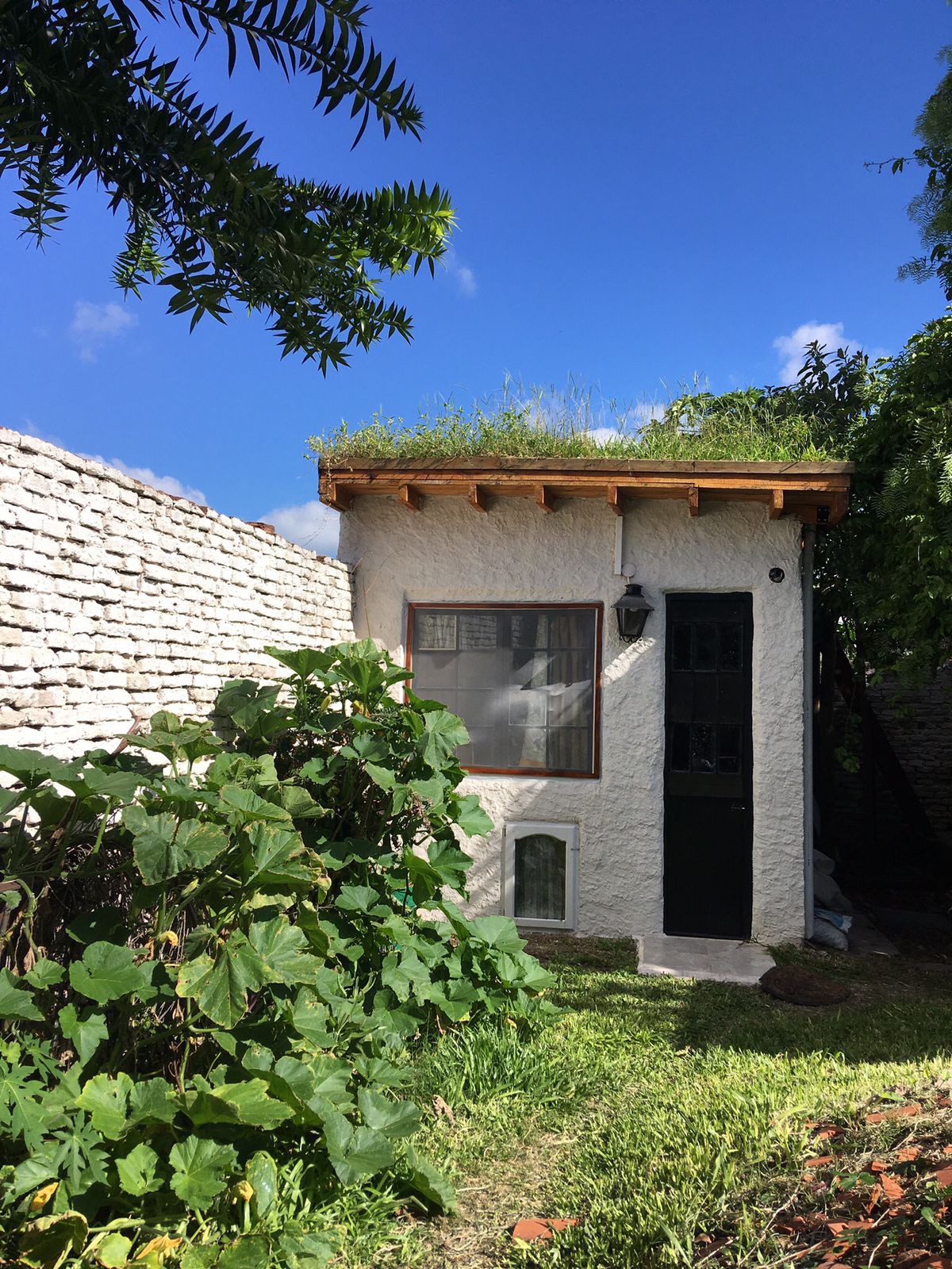 Eco-casa con techo verde y baño seco