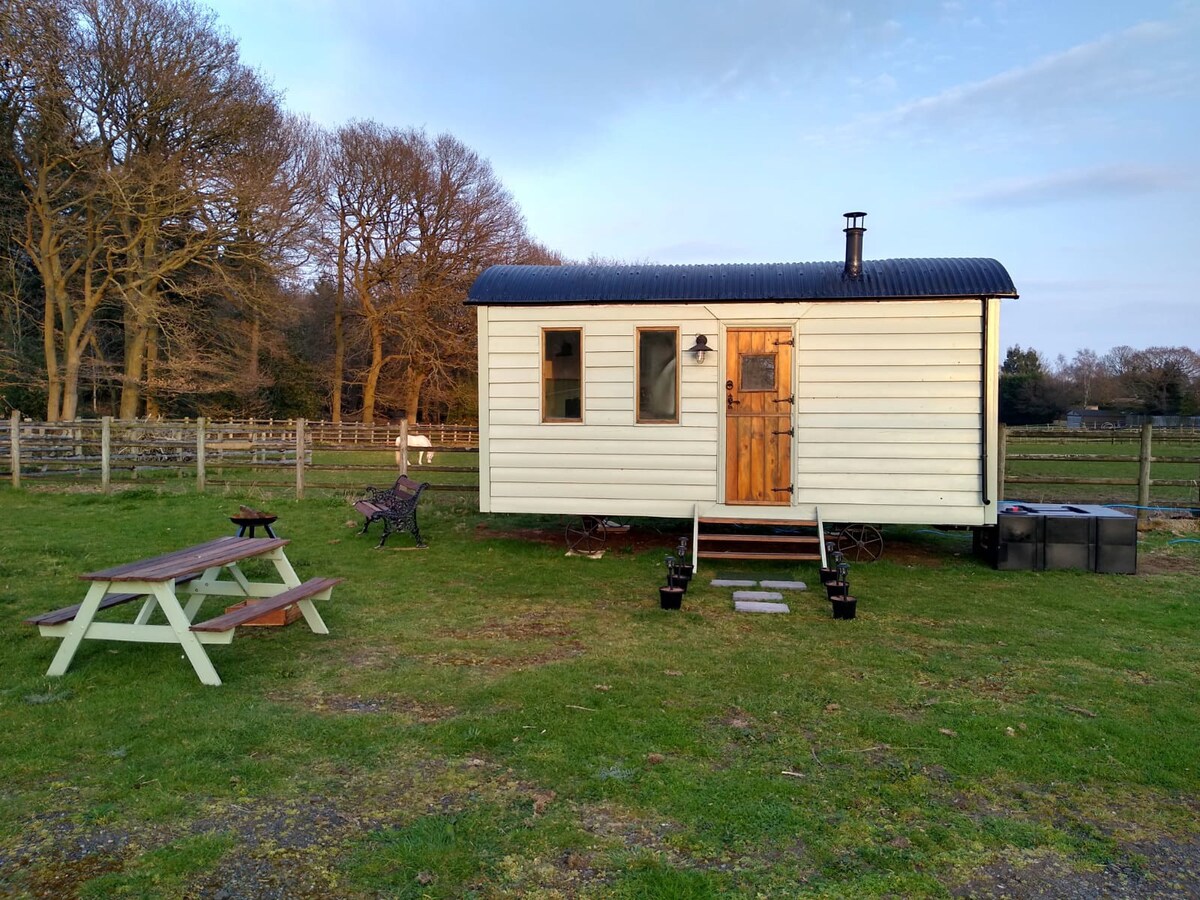 Forest & Farm - Luxury Shepherd’s Hut