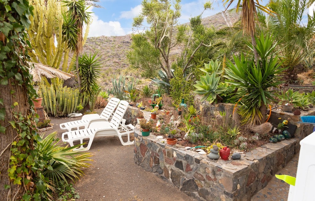 Naturaleza la gomera