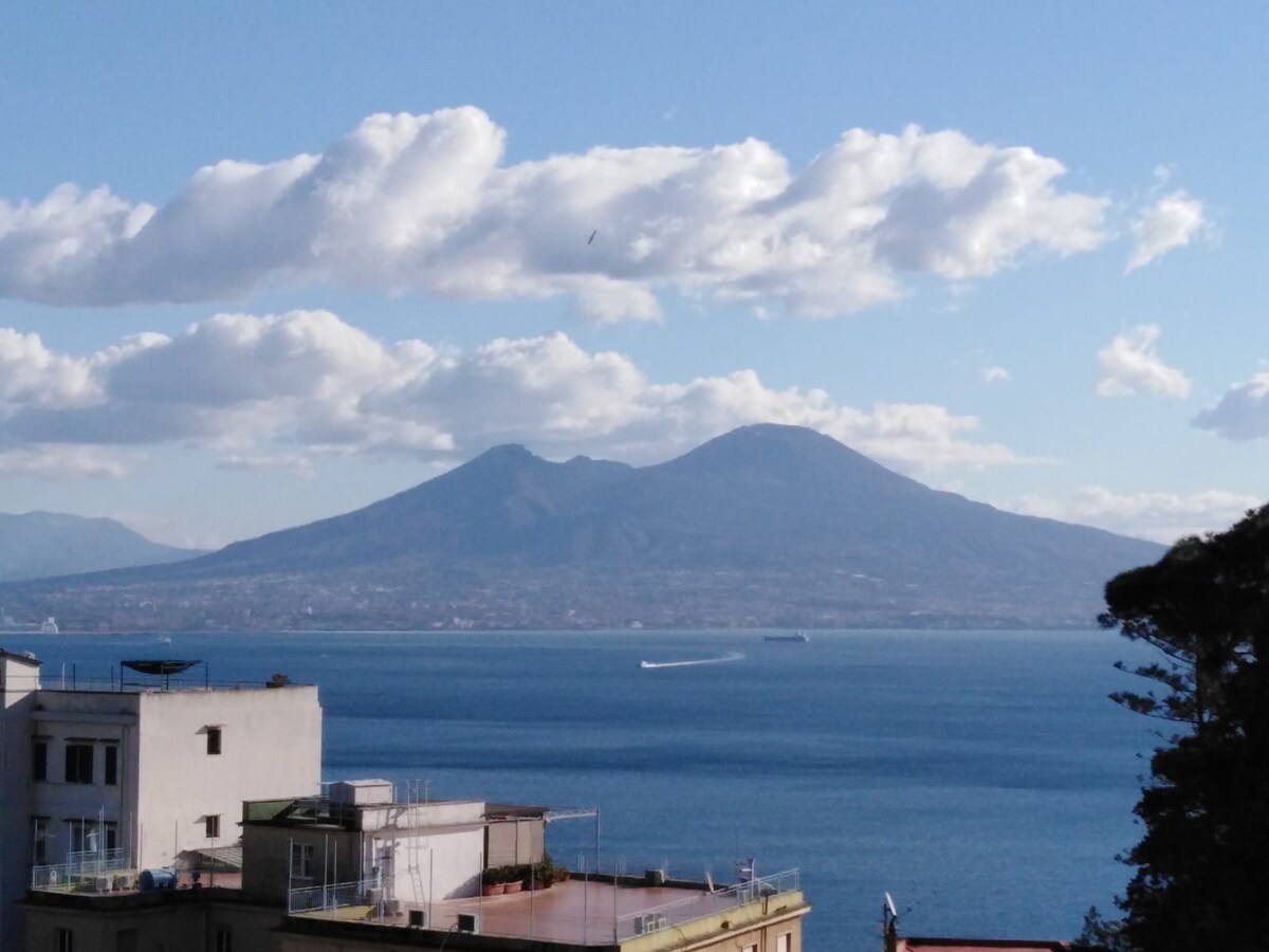1😀 可爱的Vesuvio火山家庭海景！