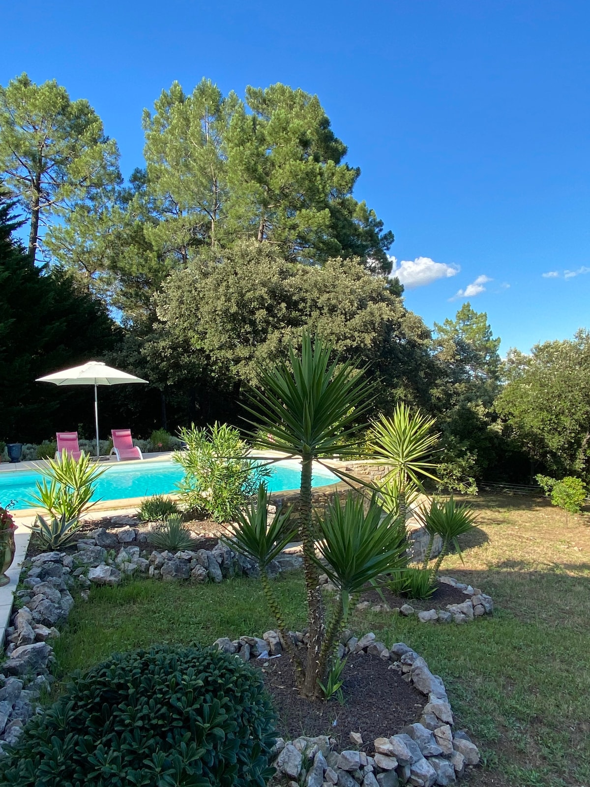 Villa provençale avec piscine en pleine nature