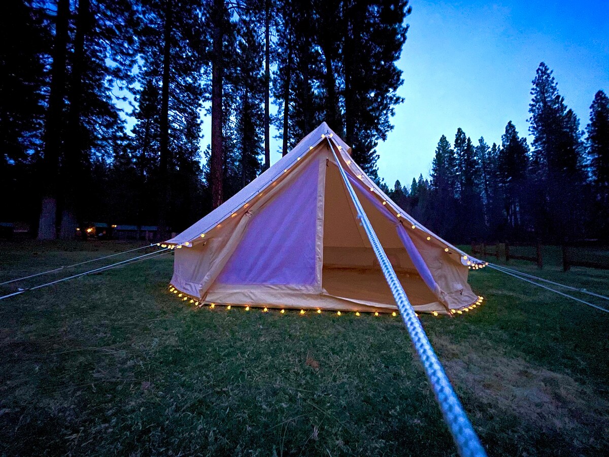 #138 Glamping Tent in the forest of Mount Shasta