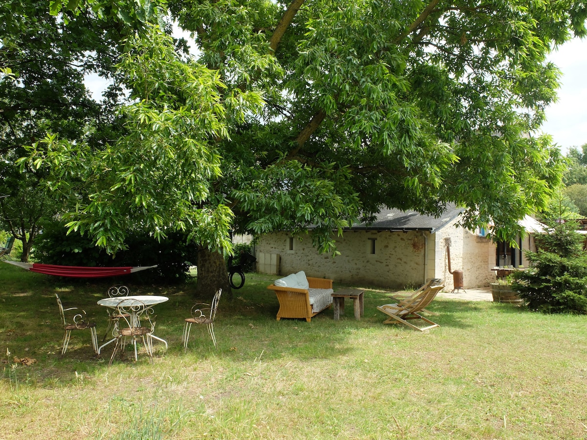 迷人的住宿，带泳池，距离loire 15分钟车程