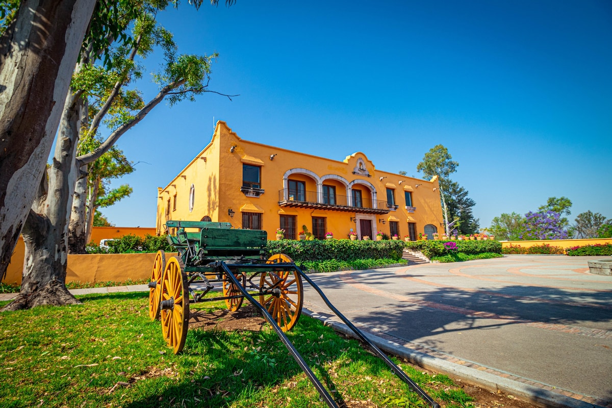 Viñedo Santa Mónica