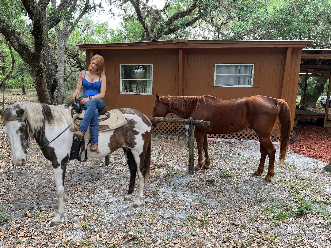 Delightful Home+FREE Horseback Riding+Petting Farm