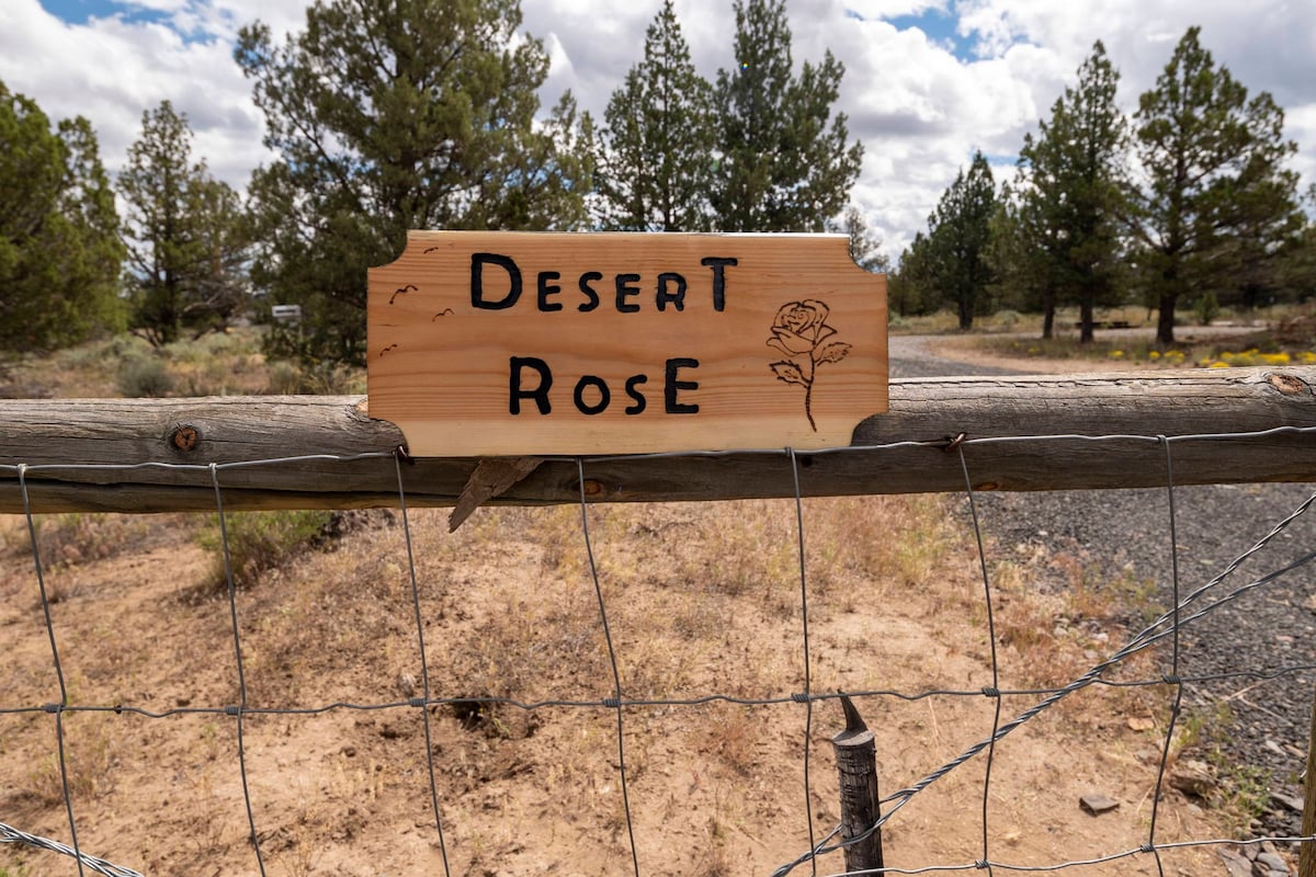 木制女神小木屋：沙漠玫瑰