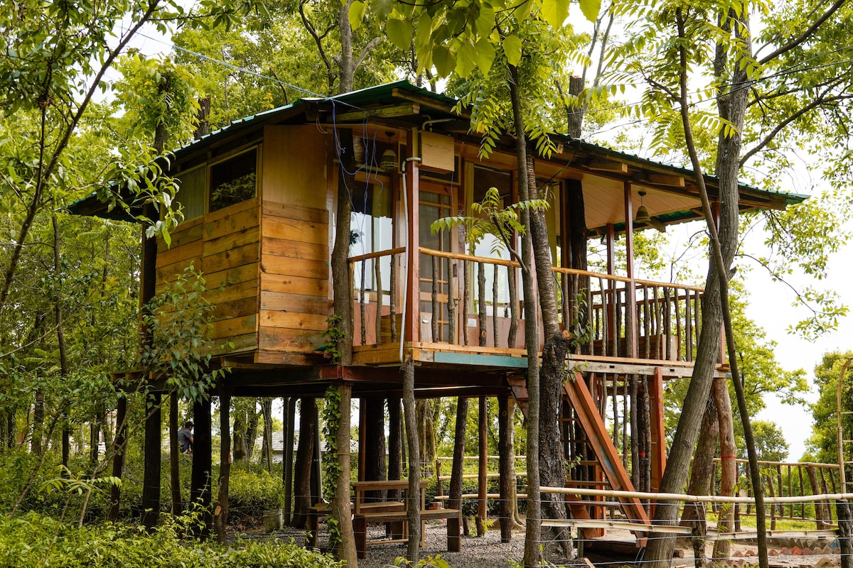 Pratham Treehouse