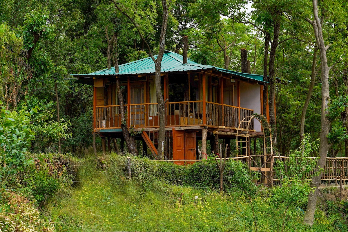 Pratham Treehouse