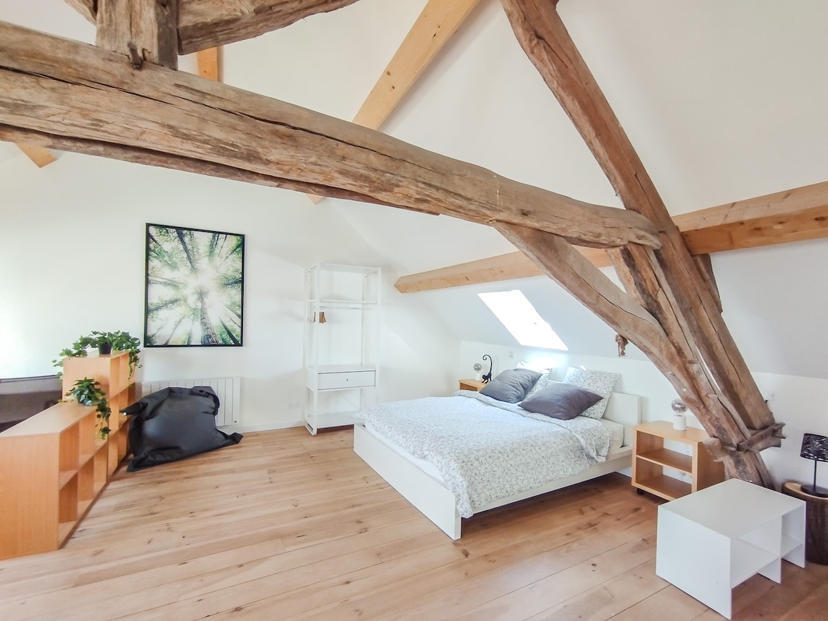 Loft dans l'esprit de la "Forêt" avec babyfoot