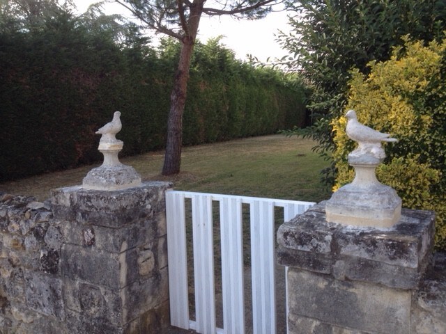 Maison ancienne avec piscine au milieu des vignes