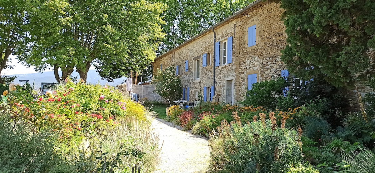 Cottage "à l'ombre du pin" en Provence
