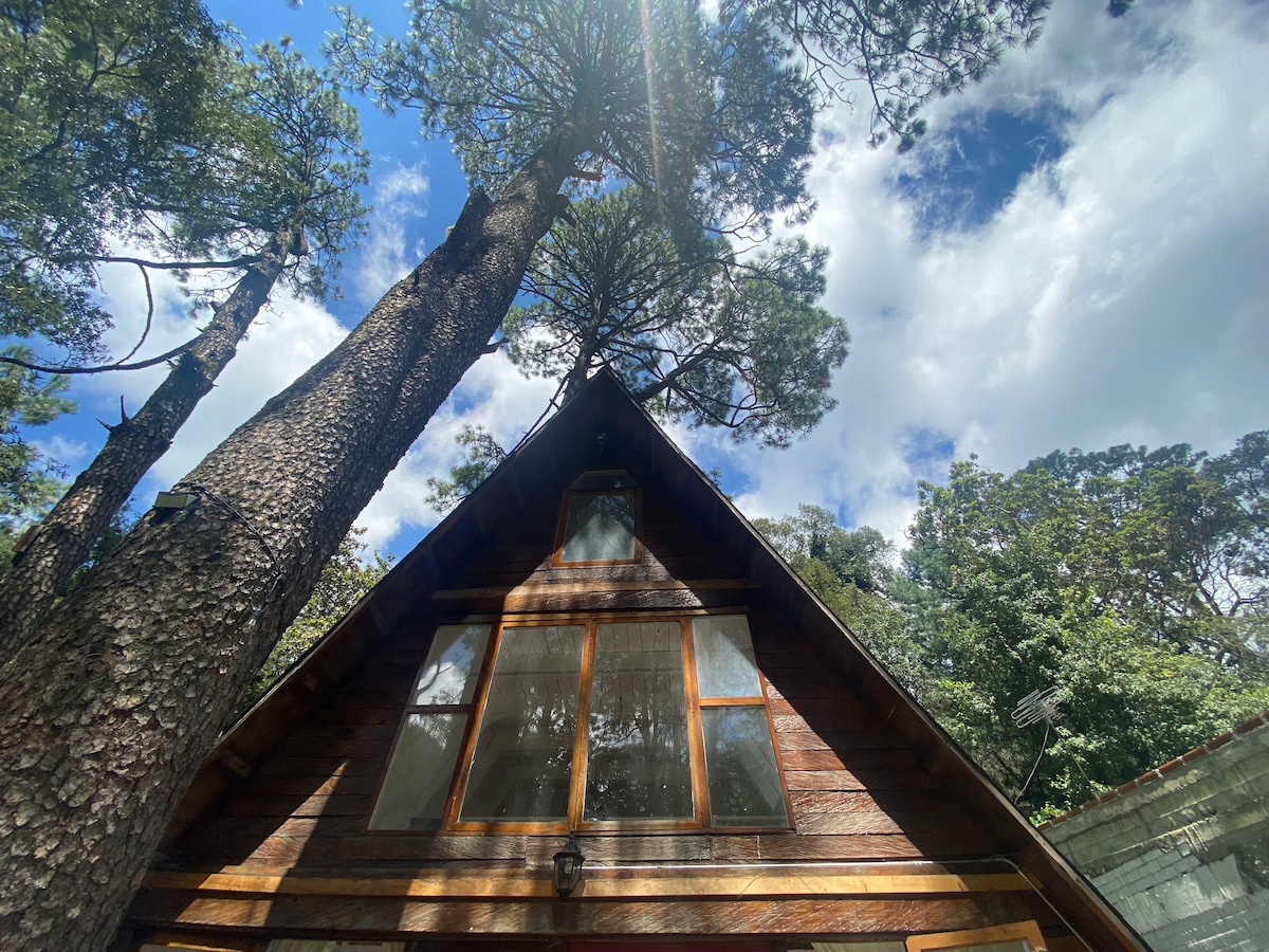 舒适温馨的小屋/宽敞的花园