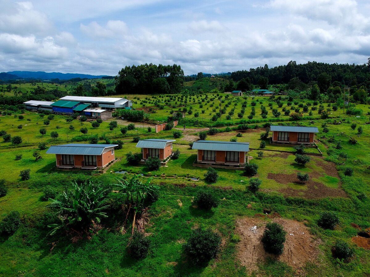 A Cabin Hse-Kalongo Farm Unit-C