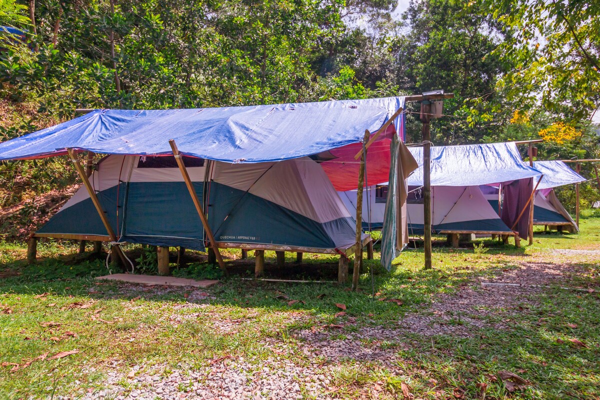 农场露营-帐篷2 @ Bentong
