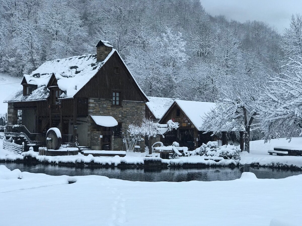 Charmant appartement sur un vieux moulin à eau