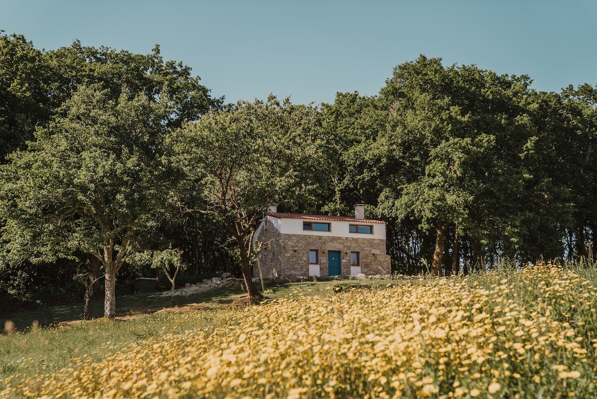 Casa de la Pradera