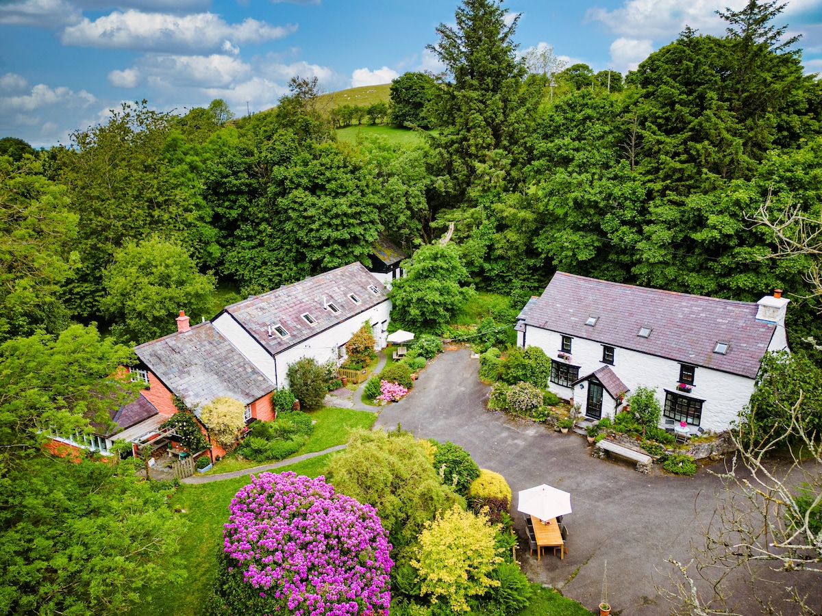 Cosy Cottage in a Beautiful Welsh Valley