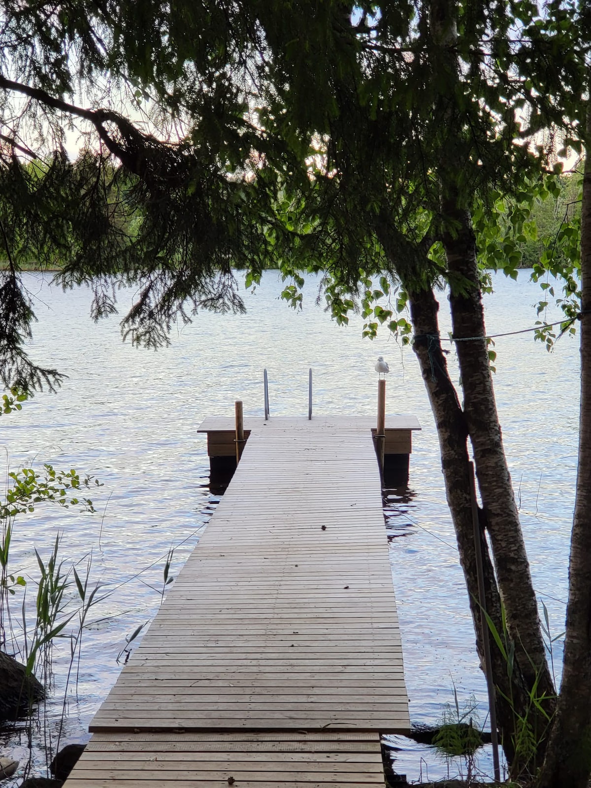 Sääksvilla ，配备桑拿、湖泊和按摩浴缸