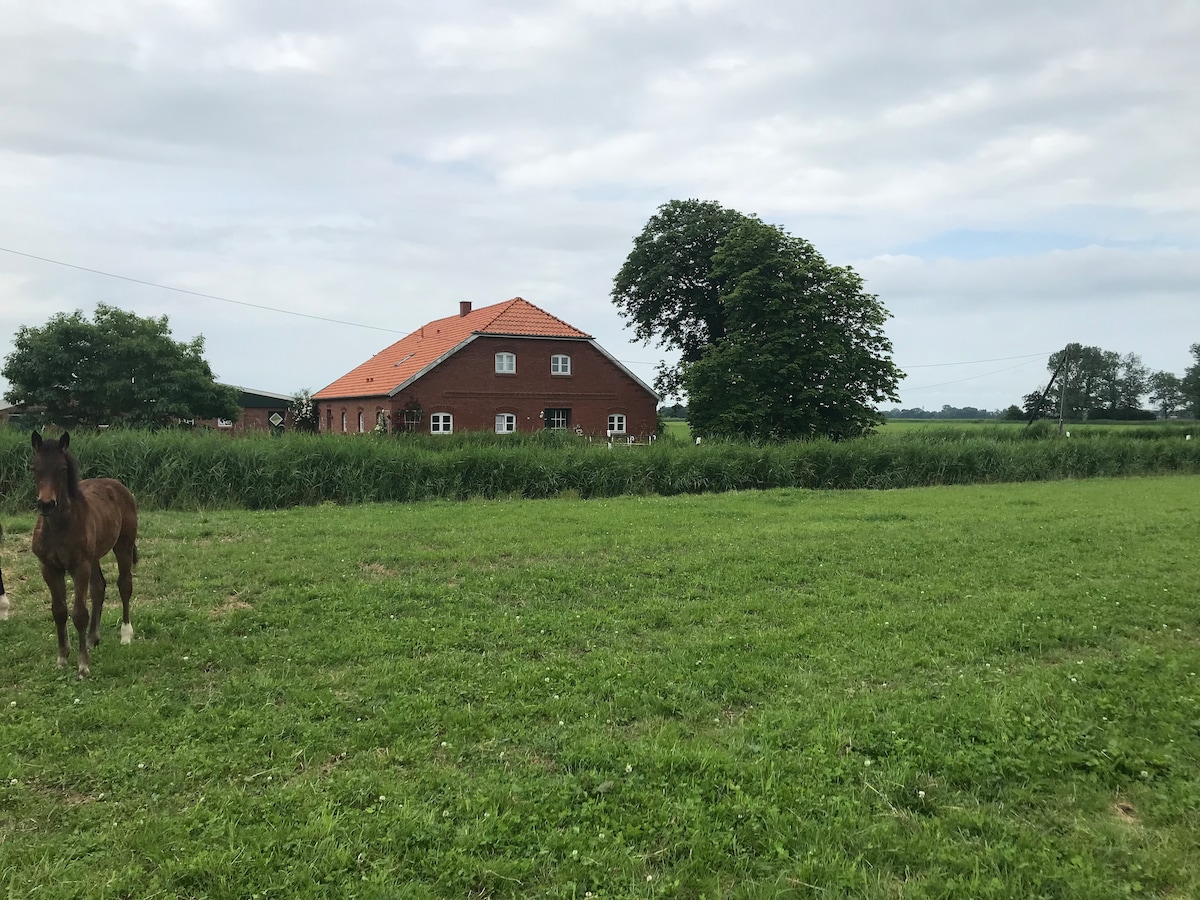 Kinderparadies an der Nordsee