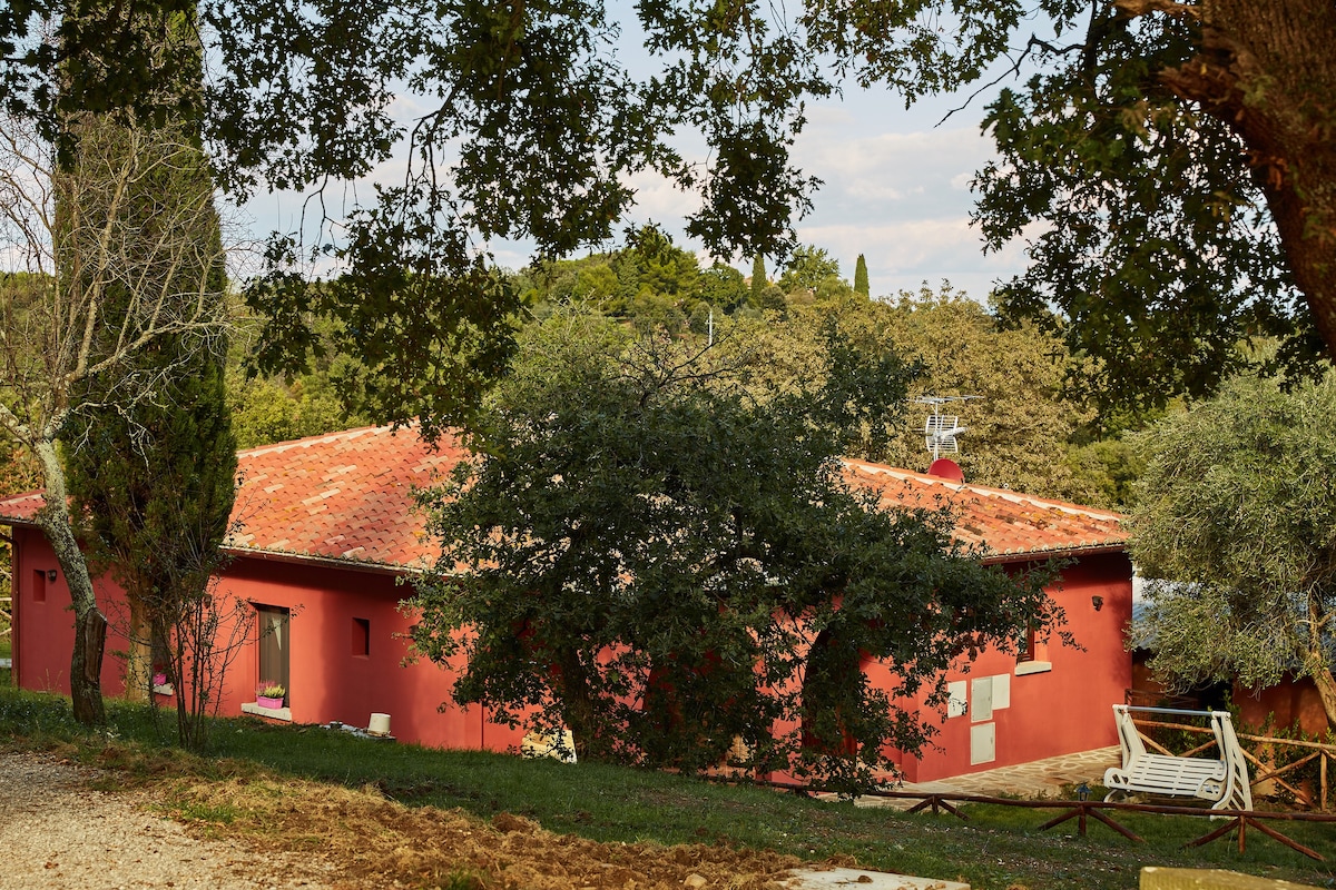 Podere Somboli - Beautiful view