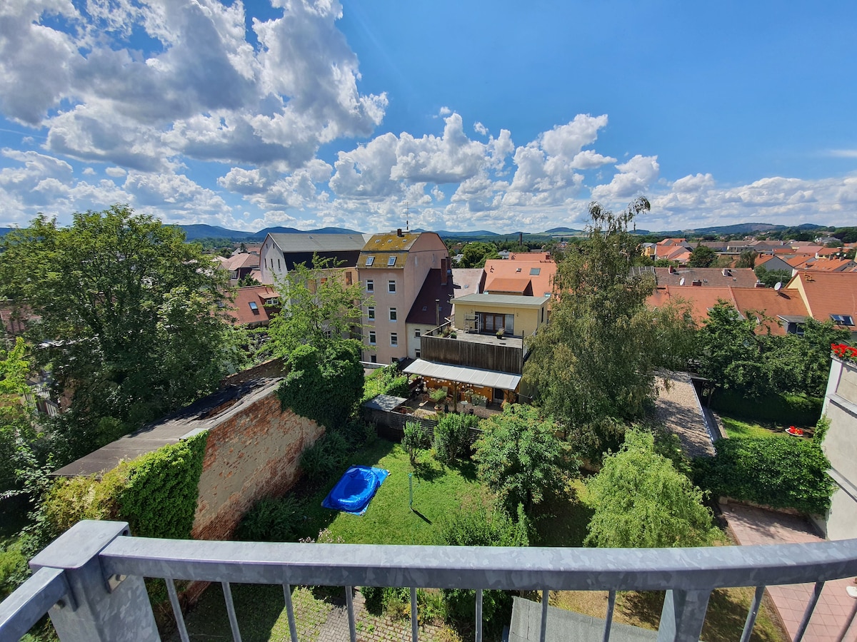 Helle 3-Raum Wohnung mit Balkon im Stadtzentrum