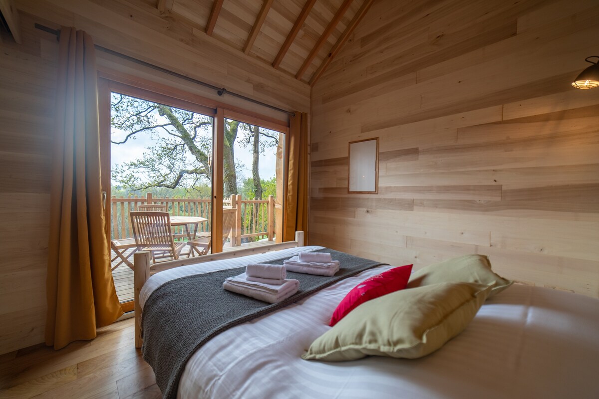 Cabane SPA Harris