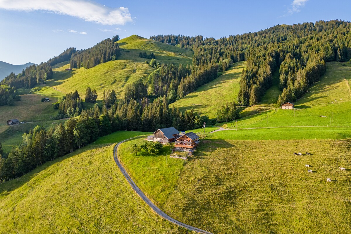 Gstaad附近的豪华5卧全景度假木屋