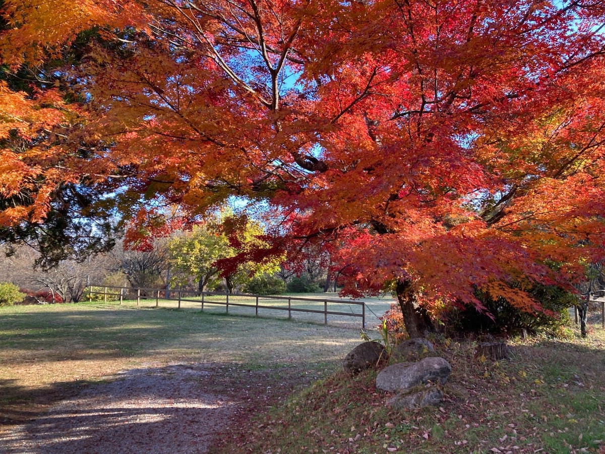 位于联合国教科文组织生态公园（ Eco Park ）大自然的豪华度假木屋和1000坪花园，放松身心