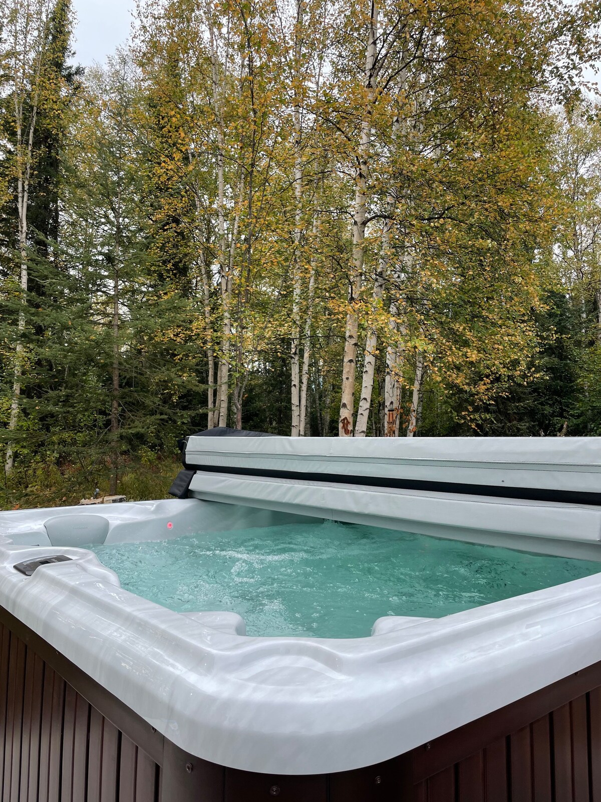 Hygge House: Scandi-Alaskan retreat/Hot Tub+Aurora