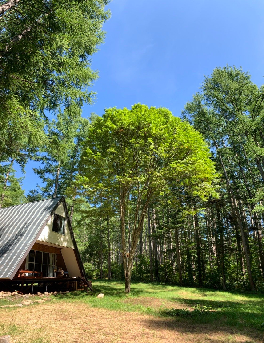 [每天仅限一组房客入住]菅冈高原（ Sugaoka Plateau ）大自然环绕的私人小屋。靠近Sania Park Sugahei。