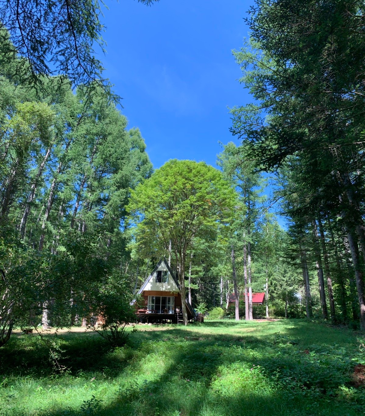 [每天仅限一组房客入住]菅冈高原（ Sugaoka Plateau ）大自然环绕的私人小屋。靠近Sania Park Sugahei。