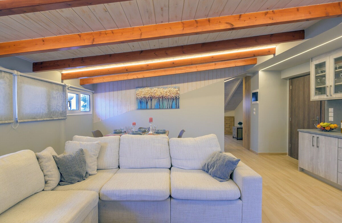 Contemporary Attic