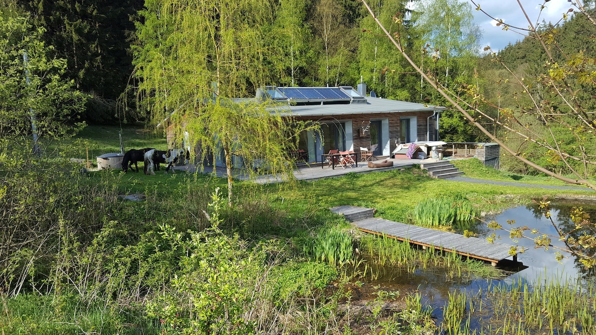 Holiday home Ratsmühle
"Haus am Pond"