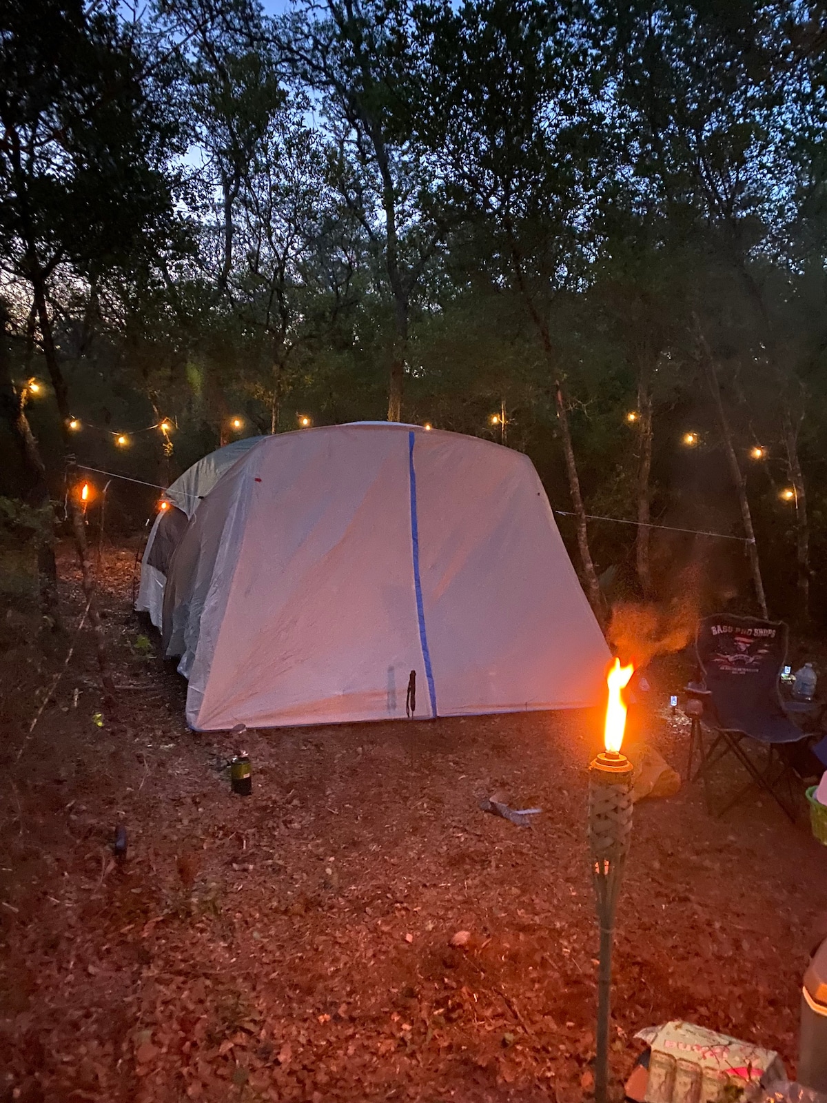 宁静的露营地/奥卡拉国家森林中心