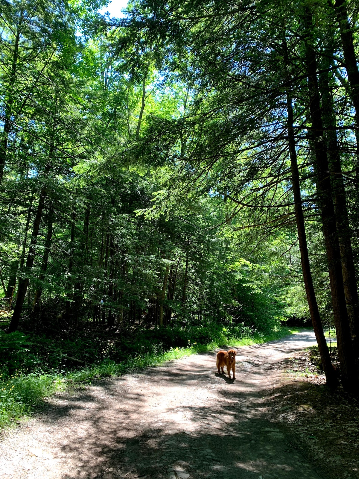 Camp Indiana - Lakefront Chalet in Upstate, NY.