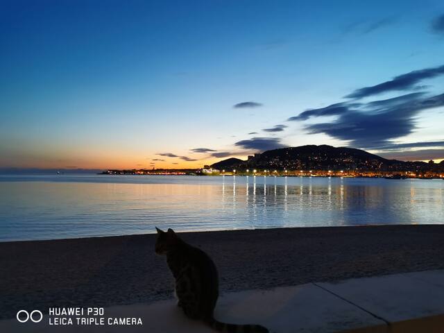 阿雅克肖（Ajaccio）的民宿