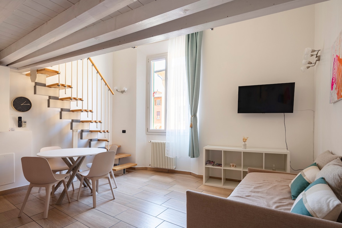 博洛尼亚中心漂亮舒适的单间公寓