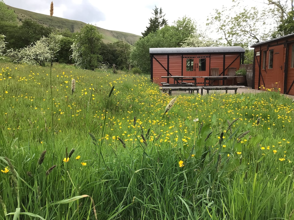 OlchonValley露营地马栗马车露营之旅