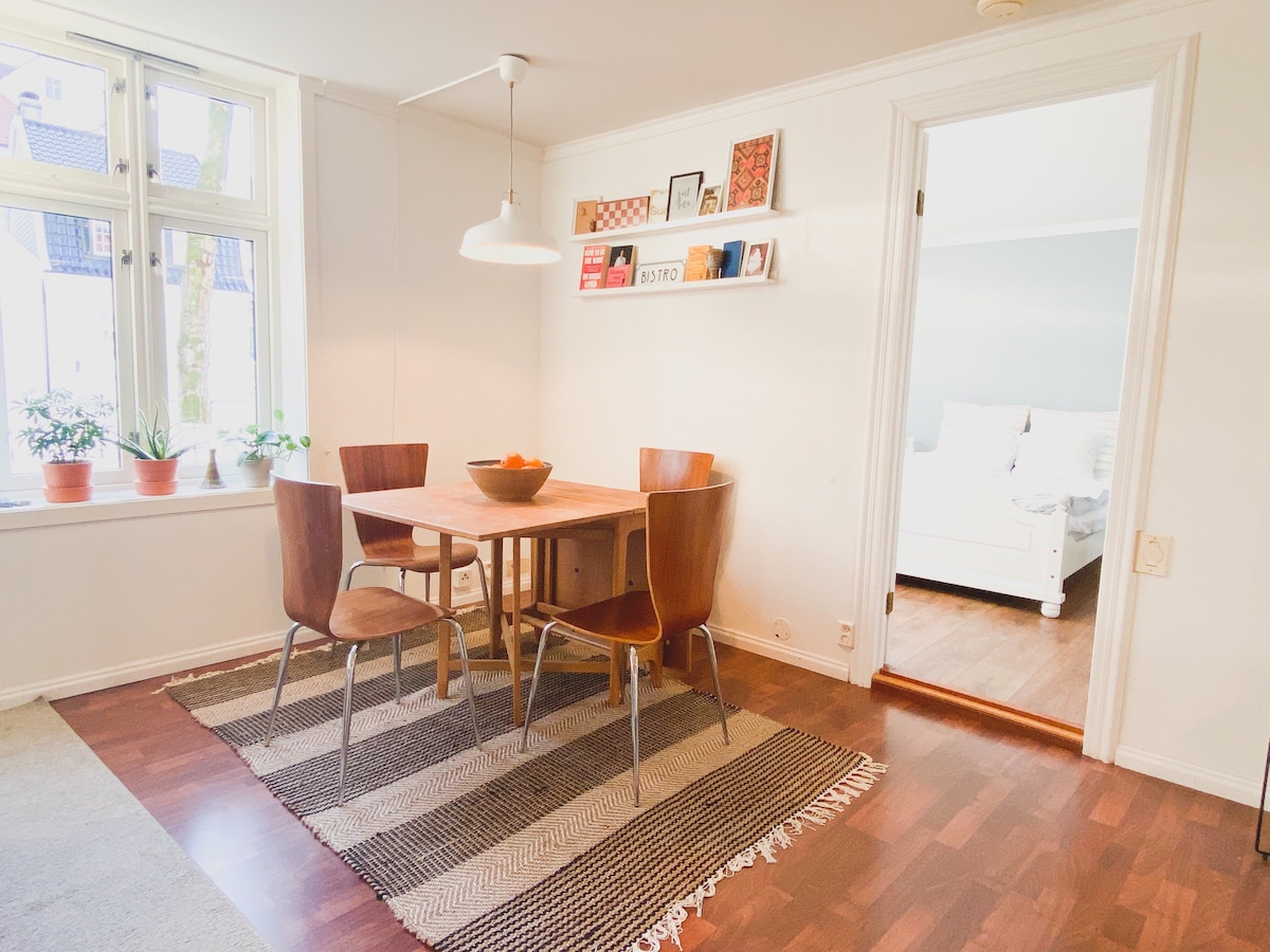 舒适正宗的公寓，仅限
距离Bryggen 60米！