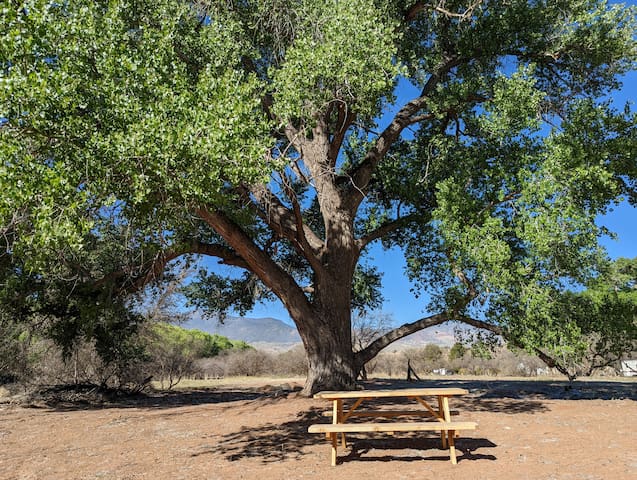 卡顿 (Cottonwood)的民宿