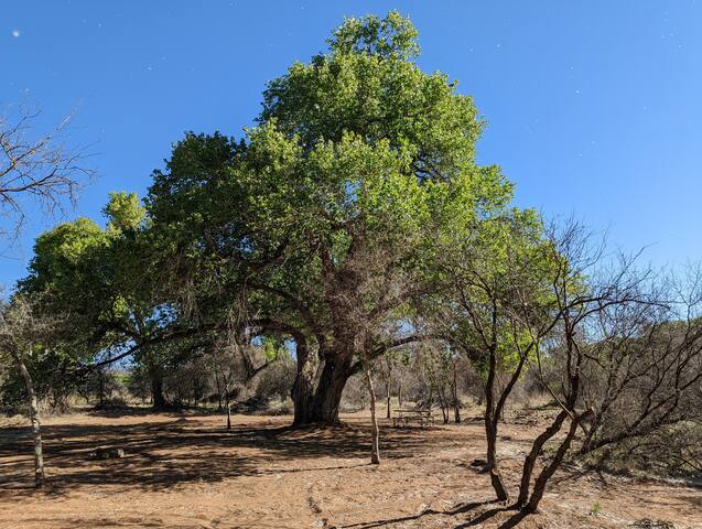 卡顿 (Cottonwood)的民宿