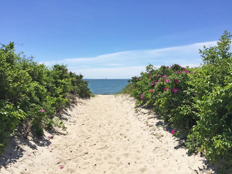 Unique Coastal Retreat: South Dartmouth, MA