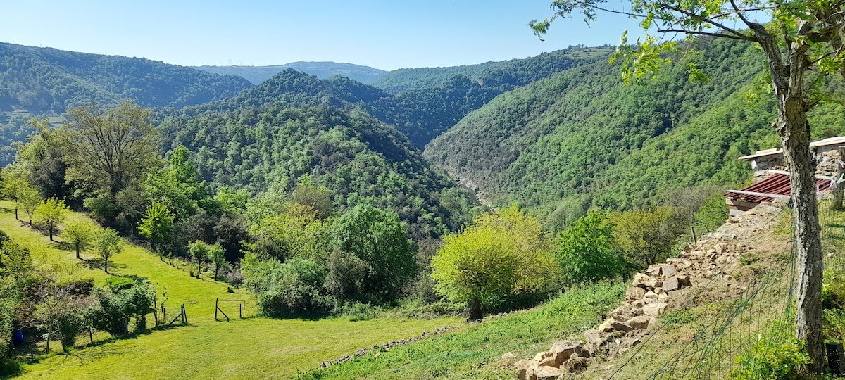 Nuit étoilée dans le canyon