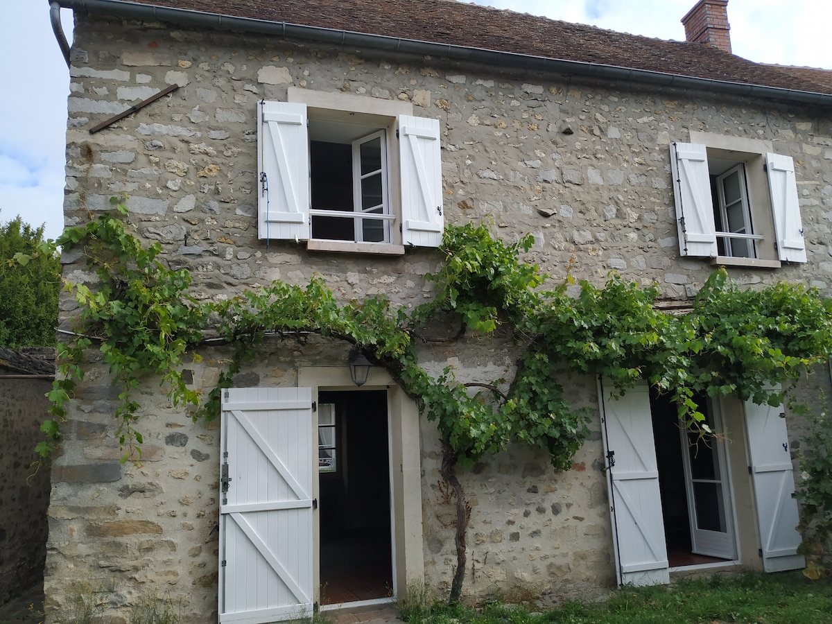 Le Hibou - Charming house inner center of Larchant