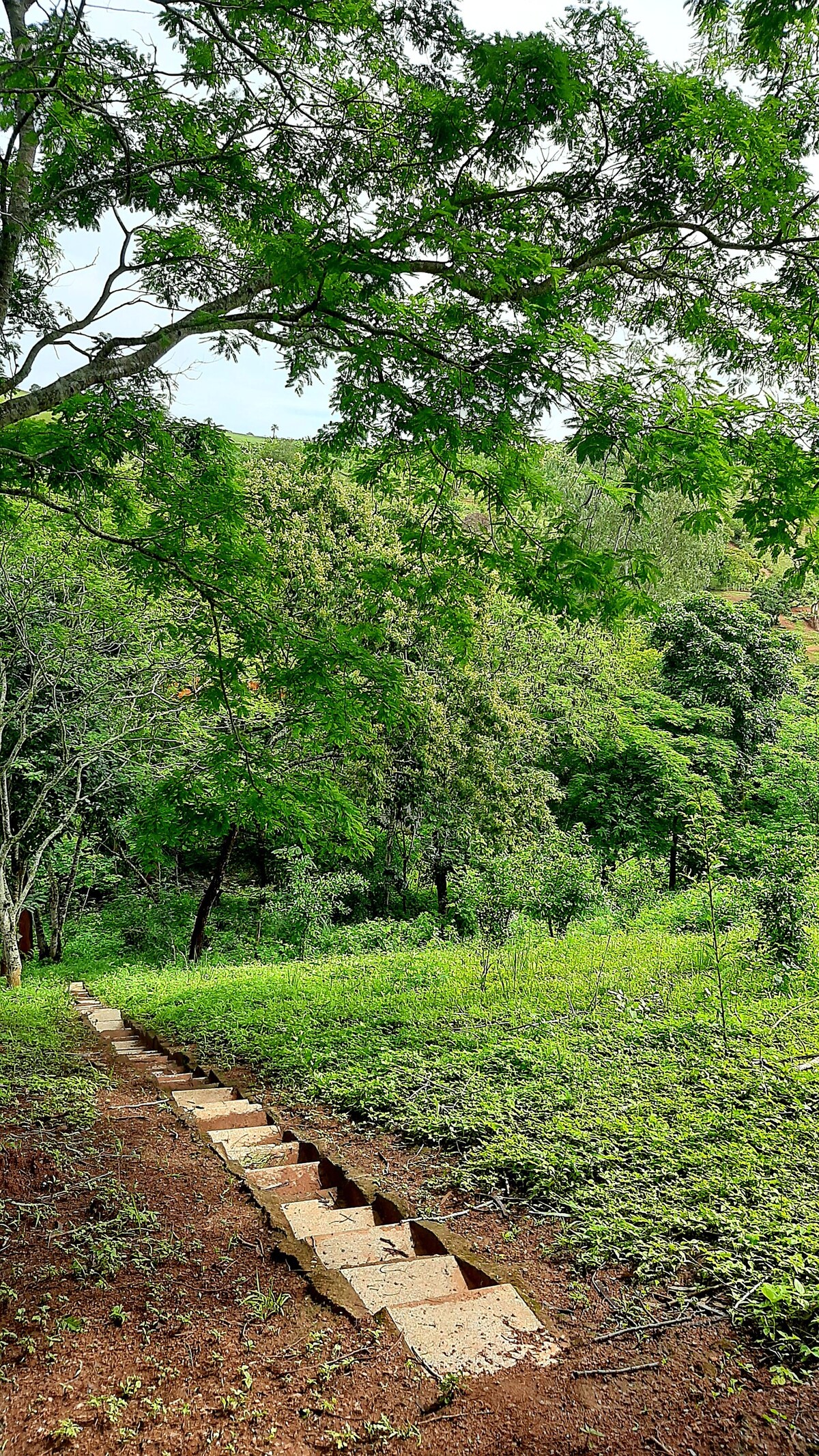 Granja Betel | Descanso e contemplação da natureza