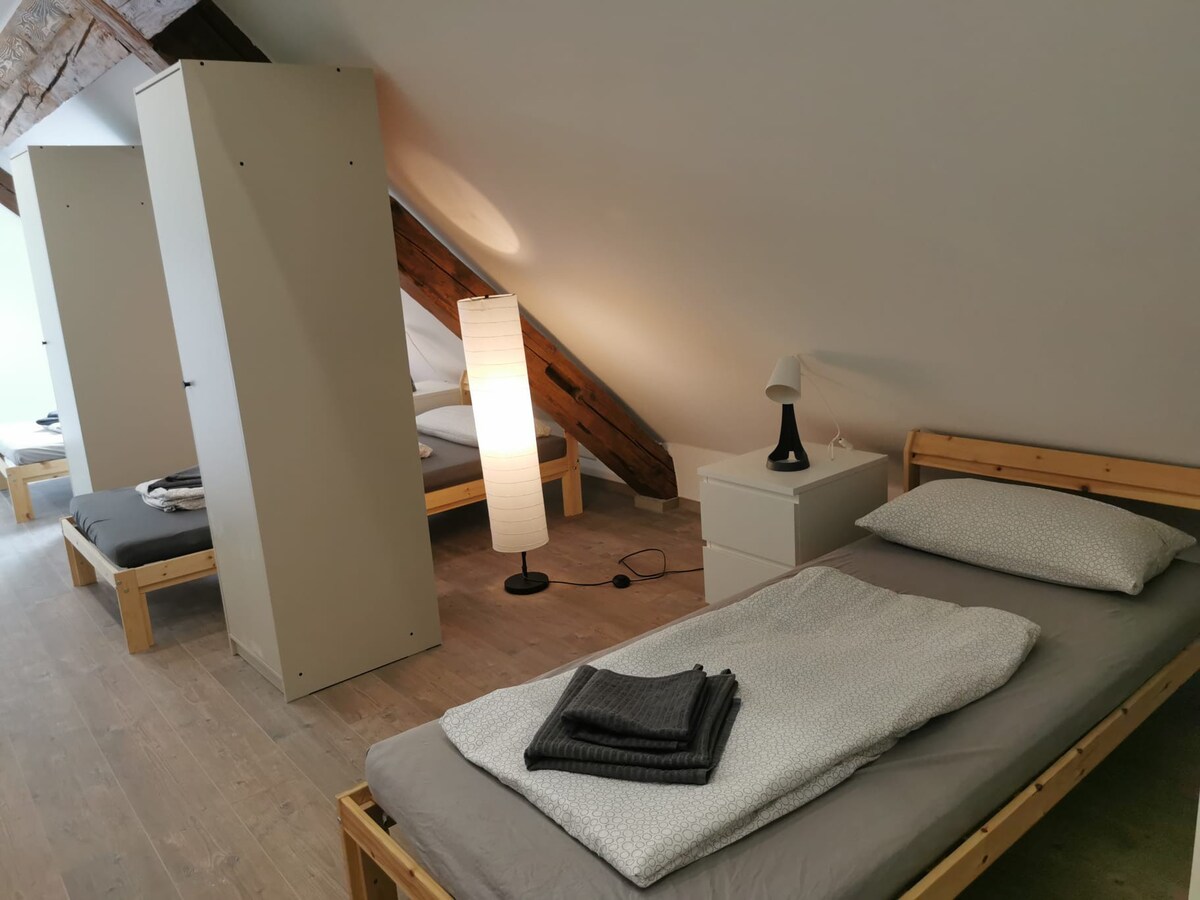 奥伦多夫（ Aulendorf ） -带阁楼的双卧室公寓