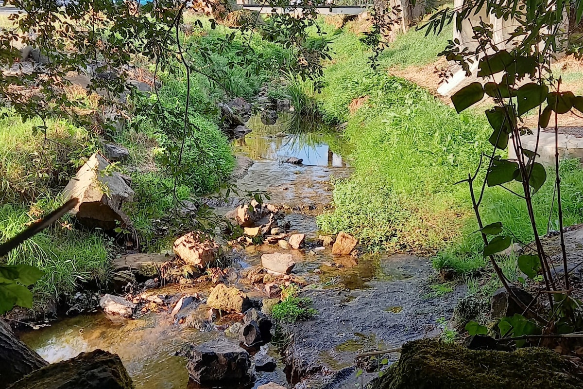 Au Petit Grammont - Magnifique bâtisse - 2 gîtes