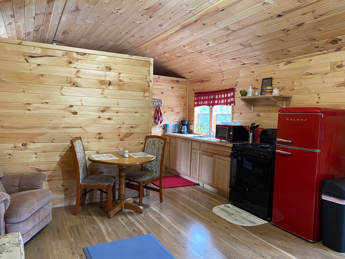 Cute & cozy 1 bedroom cabin with patio & firepit!