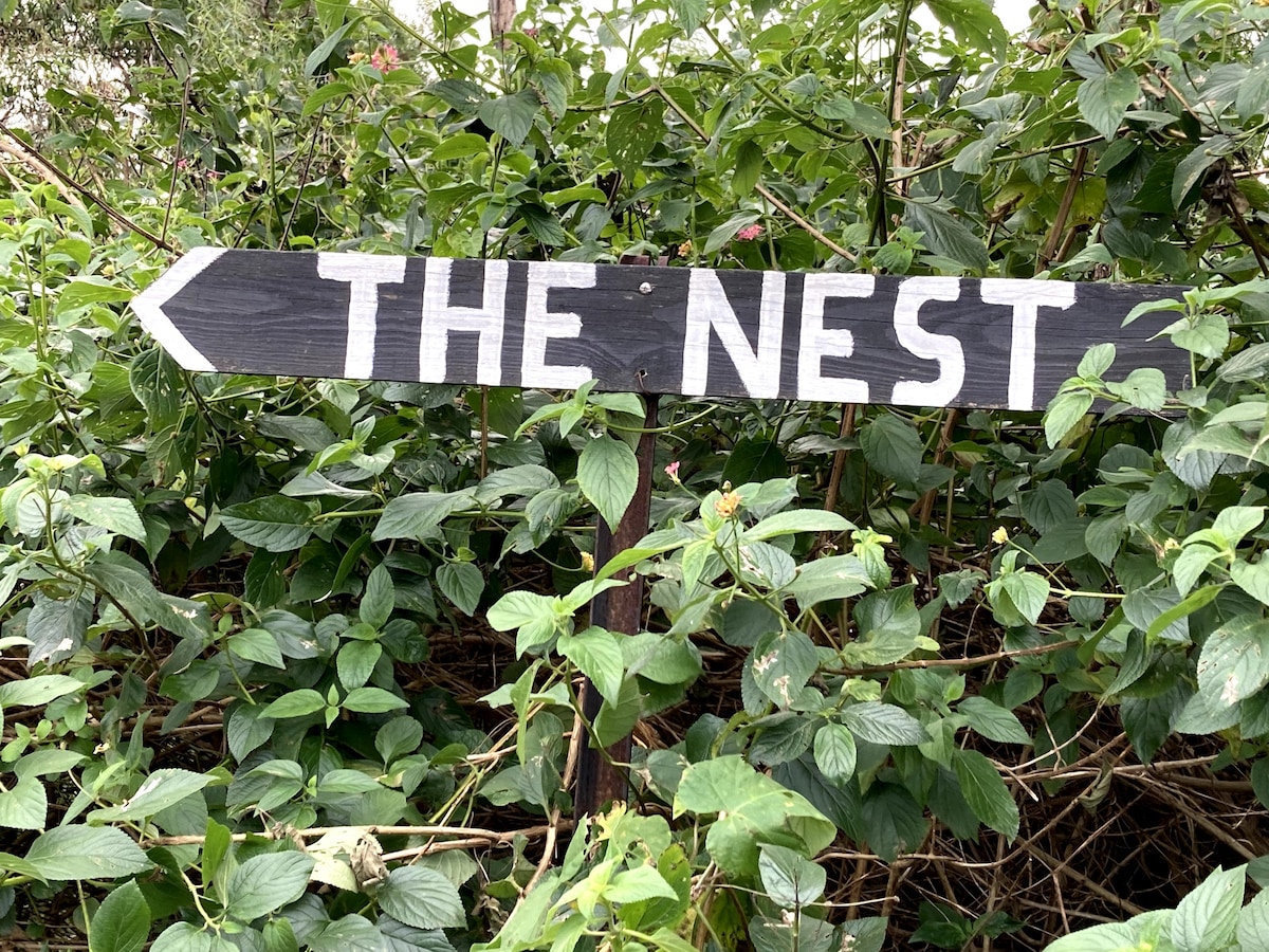 「The Nest」，适合情侣的私密单间公寓。